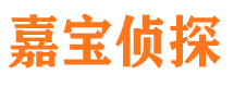 高陵市私家侦探